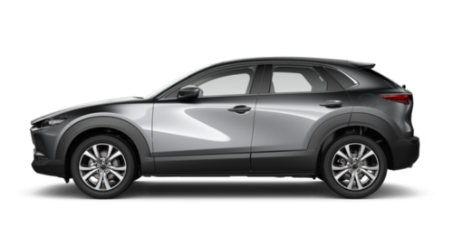 MAZDA CX-30 in Machine Grey Metallic (FWD)